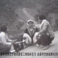 朋友同事