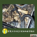 我的相册