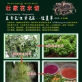 壮族图片