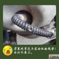 我的相册
