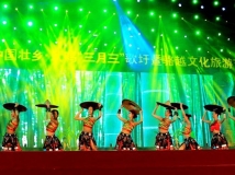 2013武鸣“三月三”《壮乡欢歌》文艺晚会