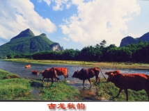 宜山风光