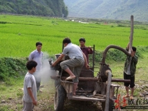 捞河沙