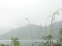 阳圩镇旧址（已长眠于此往下30米）