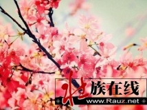 好色之图