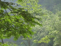 [原创]山水那安