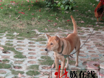 生活杂记