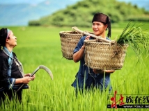 我的中国梦  最美壮家人