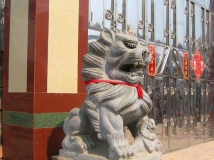 [求助]试发图