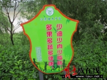 “那文化”元素Vienz soq “faenz vaq naz”