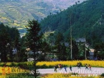 春到山村了