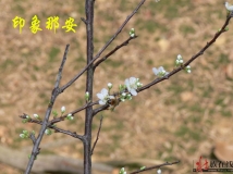 冬日印象---那安