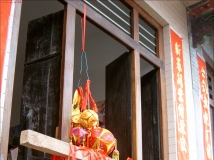 靖西旧州绣球