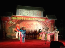 西林县西平乡木顶村2015年春节文艺晚会