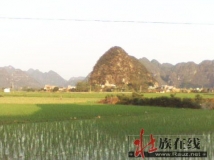 平果乡下随拍图片